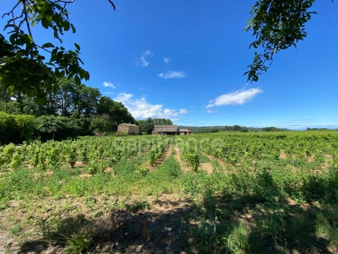 Photos 7 - Prestige - Dpt Gard (30), à vendre dans le Gard, propriété viticole en AOP Côtes du Rhône sur 25 hectares avec Château du XVème siècle
