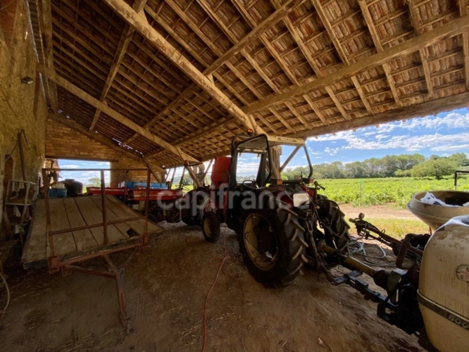 Photos 34 - Prestige - Dpt Gard (30), à vendre dans le Gard, propriété viticole en AOP Côtes du Rhône sur 25 hectares avec Château du XVème siècle