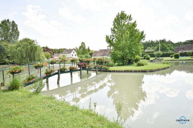 Photos 1 - Prestige - Propriete à vendre 7 pièces SELLES SUR CHER (41)