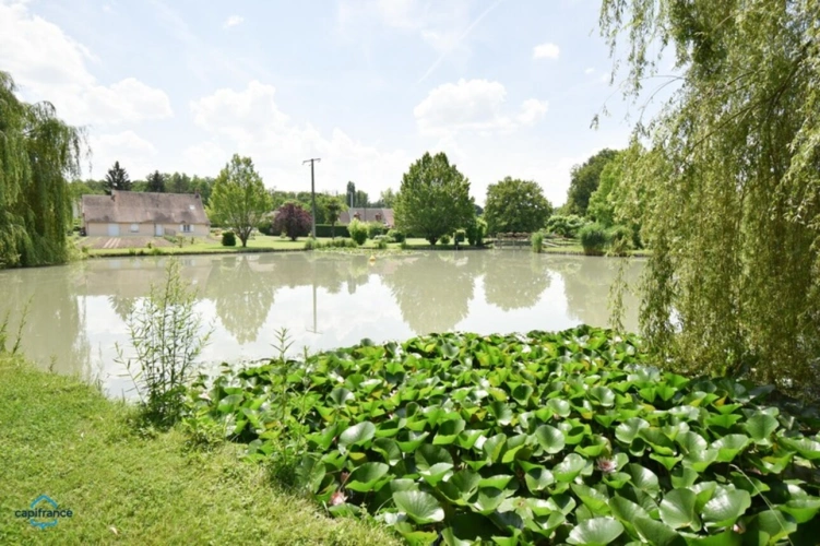 Photos 11 - Prestige - Propriete à vendre 7 pièces SELLES SUR CHER (41)