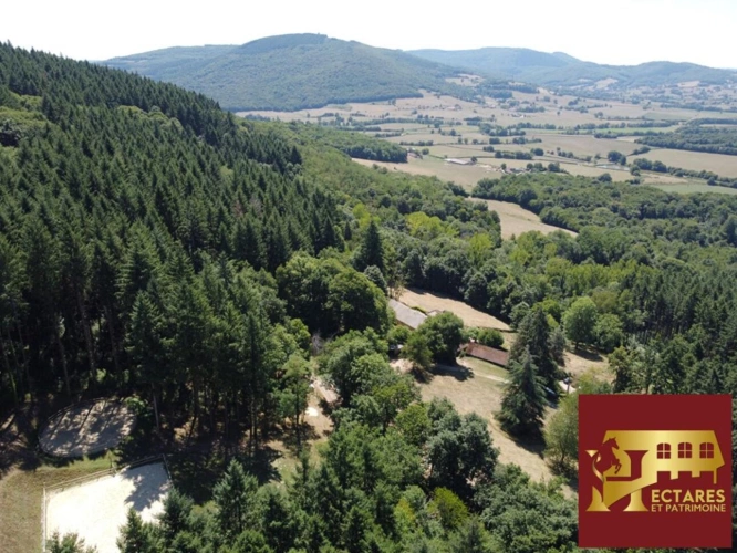 Photos 18 - Équestre - Propriété d'exception 6,4 hectares vue dominante