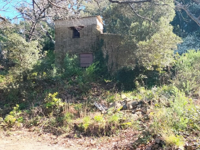 Photos 5 - Forestière - Propriété forestière avec bâtis et source au coeur du massif des Maures