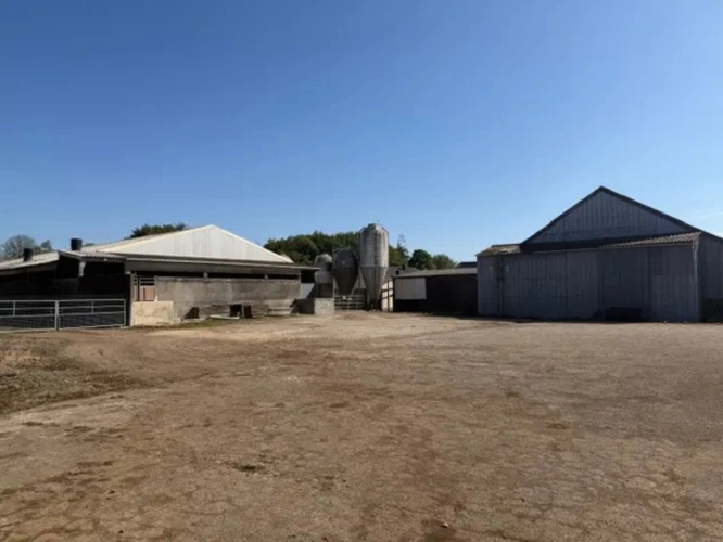 Photos 1 - Agricole - Briec-sur-Odet, aux portes de Quimper – Exploitation porcine avec fort potentiel de développement