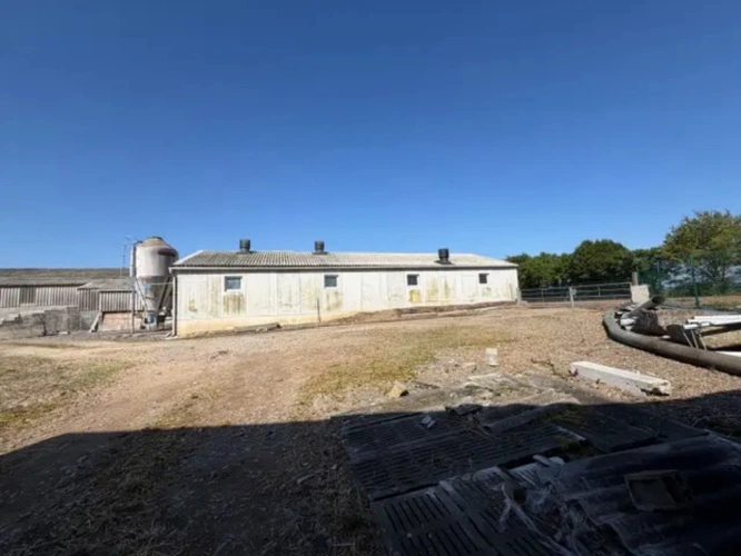 Photos 6 - Agricole - Briec-sur-Odet, aux portes de Quimper – Exploitation porcine avec fort potentiel de développement