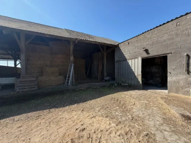 Photos 7 - Agricole - Briec-sur-Odet, aux portes de Quimper – Exploitation porcine avec fort potentiel de développement