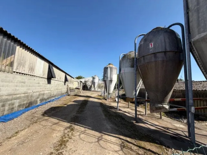 Photos 8 - Agricole - Briec-sur-Odet, aux portes de Quimper – Exploitation porcine avec fort potentiel de développement