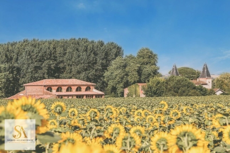 Photos 3 - Prestige - CHÂTEAU DE CARACTÈRE AVEC POTENTIEL ÉVÉNEMENTIEL – SUD TOULOUSE