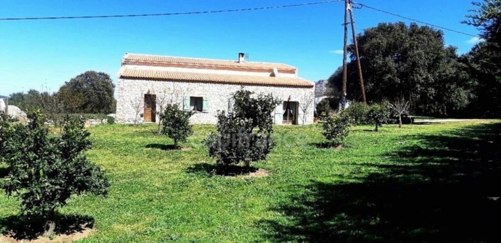 Photos 16 - Agricole - EXCLUSIVITE : Proche de L'ILE ROUSSE, Plaine du Reginu, propriété en pierre T5 161 m² sur 1.96 ha de terrain