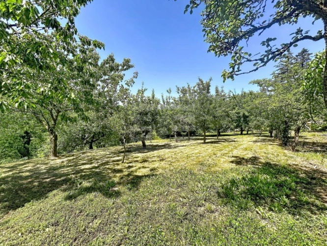 Photos 15 - Prestige - Propriété