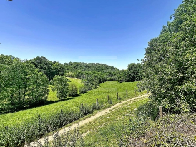 Photos 16 - Prestige - Propriété