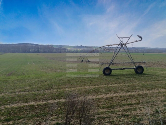 Photos 1 - Agricole - Terrain agricole