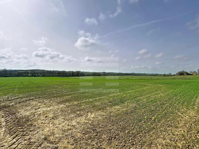 Photos 2 - Agricole - Terrain agricole