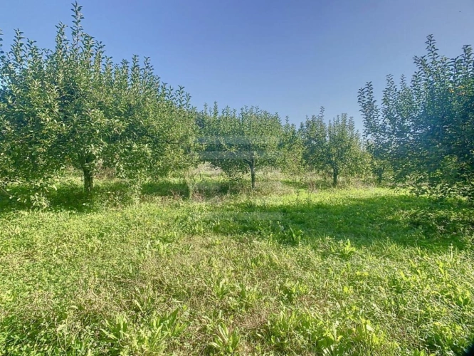 Photos 11 - Prestige - Propriété agricole
