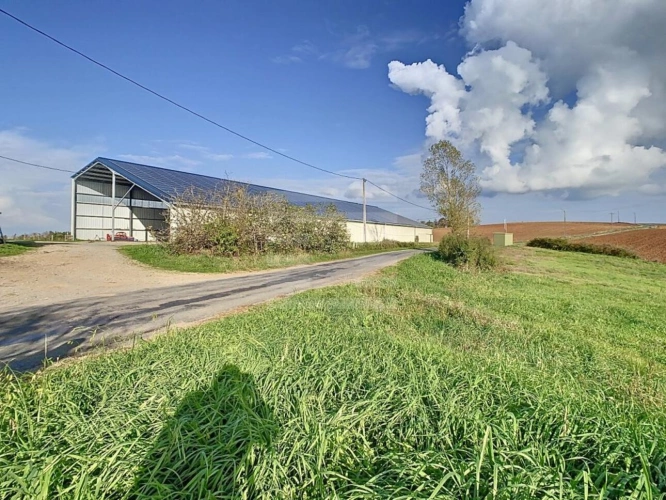 Photos 1 - Agricole - Bovine