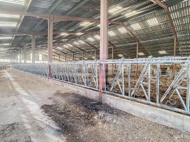 Photos 2 - Agricole - Bovine
