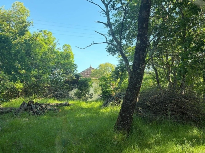 Photos 19 - Prestige - Gers(32), TRES BEAU CHATEAU DE FAMILLE 45HA avec dependances, un peu caché, en position dominante, une belle histoire