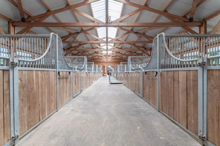 Photos 21 - Prestige - Magnifique château avec installations équestres de très haut niveau