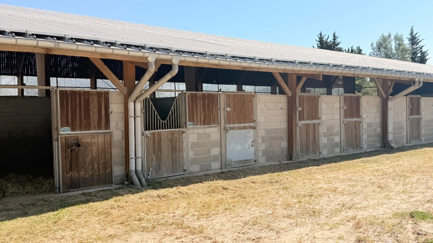 Photos 8 - Équestre - Splendide domaine équestre avec plusieurs logements de charme