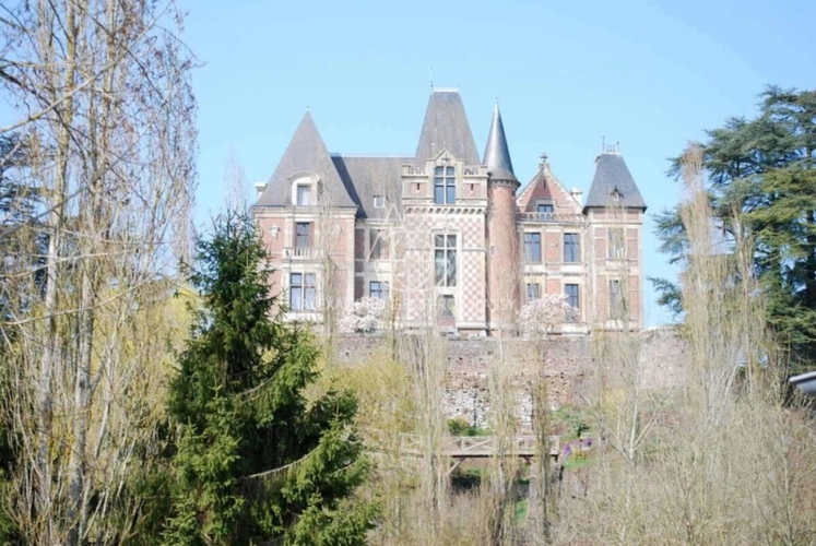 Photos 3 - Prestige - Majestueux château de style Renaissance perché sur un rocher en Suisse Normande