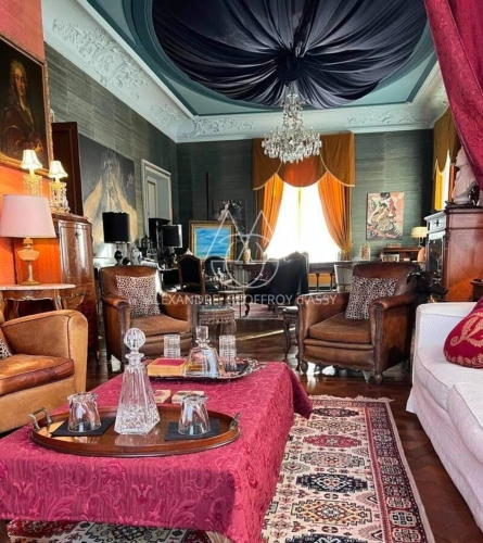 Photos 12 - Prestige - Majestueux château de style Renaissance perché sur un rocher en Suisse Normande
