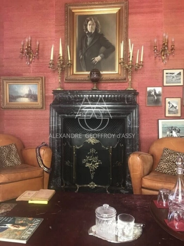 Photos 23 - Prestige - Majestueux château de style Renaissance perché sur un rocher en Suisse Normande