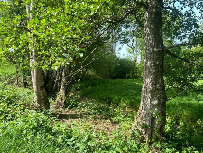 Photos 18 - Rurale - ENSEMBLE DE GRANGES ET TERRES – PLUS DE 7 HECTARES – ENTRE POUILLY-EN-AUXOIS ET SAULIEU