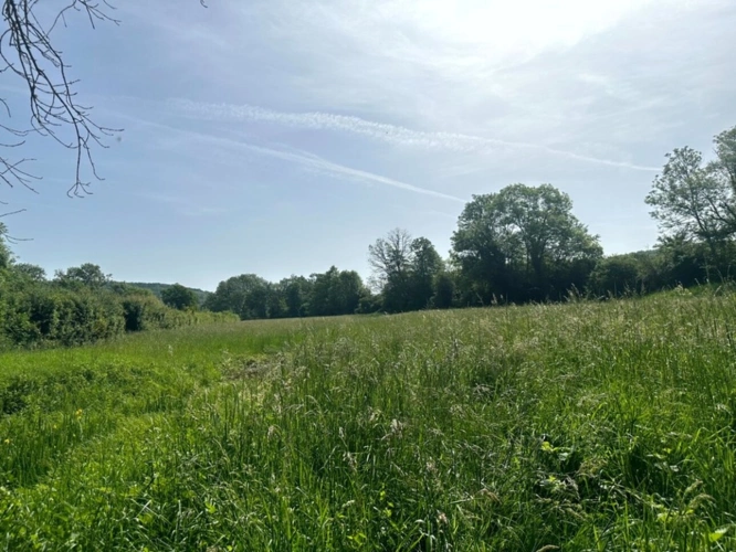 Photos 19 - Rurale - ENSEMBLE DE GRANGES ET TERRES – PLUS DE 7 HECTARES – ENTRE POUILLY-EN-AUXOIS ET SAULIEU