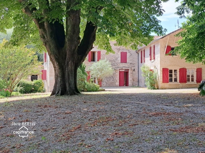 Photos 3 - Équestre - Propriété à vendre 11 pièces CELLES SUR BELLE (79)