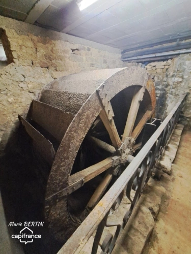 Photos 13 - Équestre - Propriété à vendre 11 pièces CELLES SUR BELLE (79)