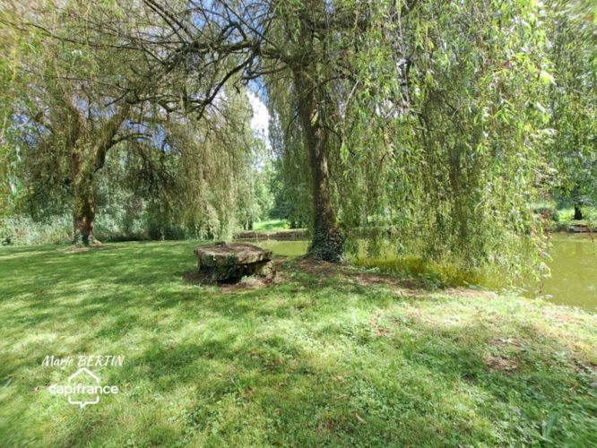 Photos 26 - Équestre - Propriété à vendre 11 pièces CELLES SUR BELLE (79)