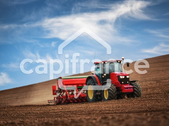 Photos 1 - Agricole - Dpt Pyrénées Orientales (66), à vendre terrain commune de CLAIRA