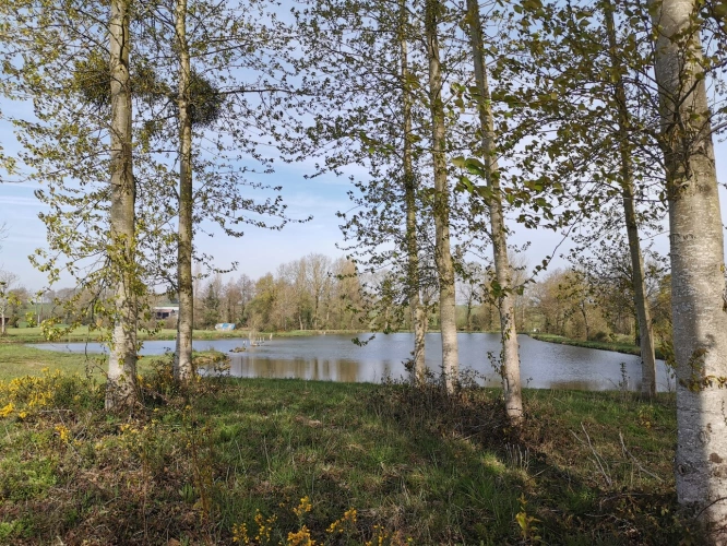 Photos 2 - Rurale - Terrain de loisirs avec étang et peupleraie