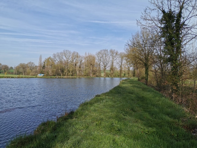 Photos 4 - Rurale - Terrain de loisirs avec étang et peupleraie