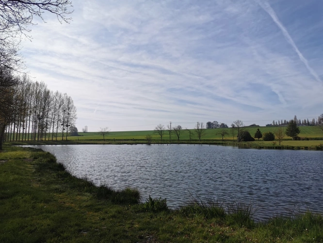 Photos 5 - Rurale - Terrain de loisirs avec étang et peupleraie