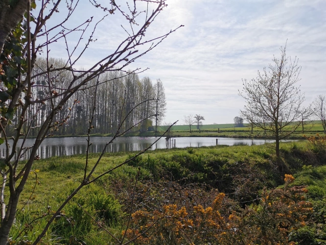 Photos 6 - Rurale - Terrain de loisirs avec étang et peupleraie