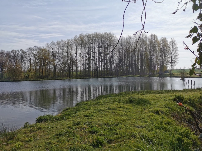 Photos 7 - Rurale - Terrain de loisirs avec étang et peupleraie