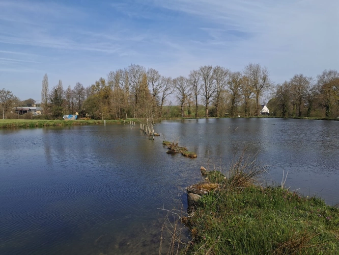 Photos 9 - Rurale - Terrain de loisirs avec étang et peupleraie