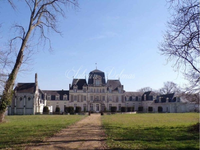 Photos 1 - Prestige - Propriete à vendre 45 pièces proche de ANGERS (49)