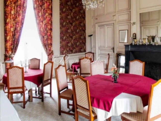 Photos 5 - Prestige - Propriete à vendre 45 pièces proche de ANGERS (49)