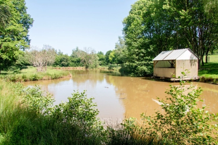 Photos 5 - Rurale - Propriété sur 10ha avec deux maisons ECHAUFFOUR (61)