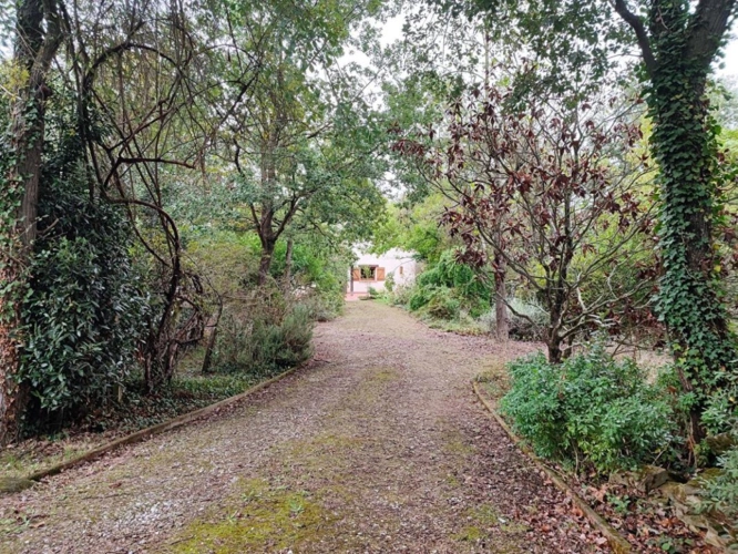 Photos 17 - Rurale - Maison Atypique avec studio indépendant, garage et Grand Terrain Arboré