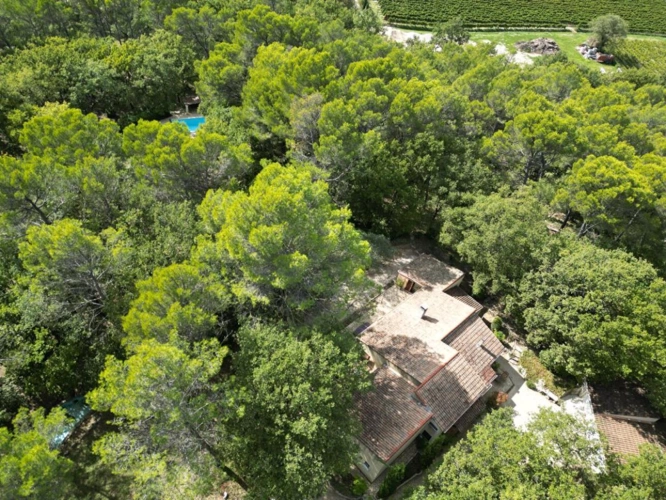 Photos 1 - Rurale - Proche L'Isle-sur-la-Sorgue / Pernes-les-Fontaines ? Propriété de Caractère 170 m² ? Parc Forestier d'un Hectare ? Calme Absolu