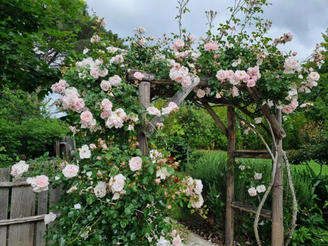 Photos 8 - Touristique - Domaine d'exception entre nature, confort et potentiel d'accueil