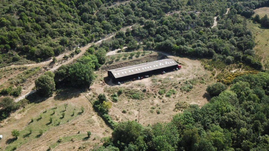 Photos 3 - Prestige - Propriété d'exception au coeur de la nature -180 hectares d'un seul tenant