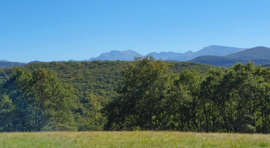 Photos 2 - Prestige - Exceptionnel !!! Ensemble immobilier sur 93 HA de terres avec ruisseau , sources