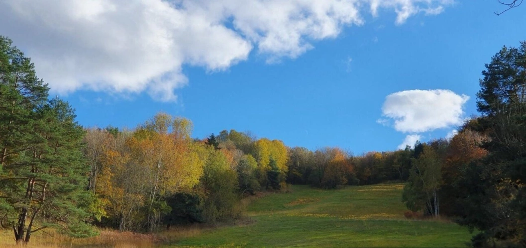 Photos 12 - Prestige - Exceptionnel !!! Ensemble immobilier sur 93 HA de terres avec ruisseau , sources