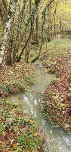 Photos 13 - Prestige - Exceptionnel !!! Ensemble immobilier sur 93 HA de terres avec ruisseau , sources