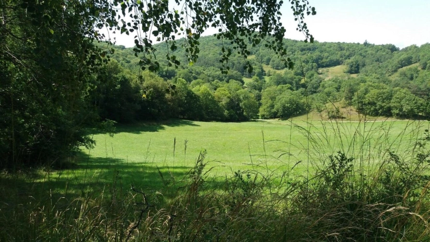 Photos 14 - Prestige - Exceptionnel !!! Ensemble immobilier sur 93 HA de terres avec ruisseau , sources
