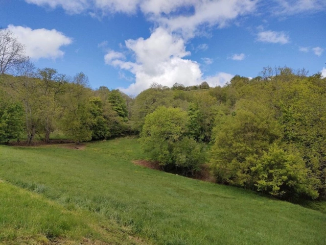 Photos 15 - Prestige - Exceptionnel !!! Ensemble immobilier sur 93 HA de terres avec ruisseau , sources