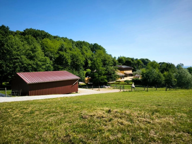 Photos 4 - Prestige - Ensemble immobilier de caractère dans un cadre bucolique